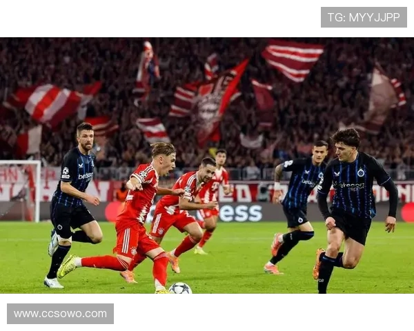 帕利尼亚:埃弗顿主场零封不易,热刺值得掌声