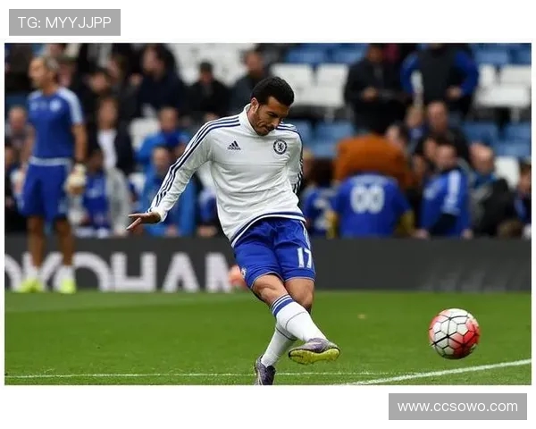 青岛德比再燃战火，戴维森：此役更具信心！(1)